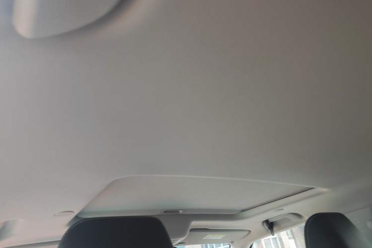 Used Tank 300 2021 City Edition 2.0T Essential Model Headliner