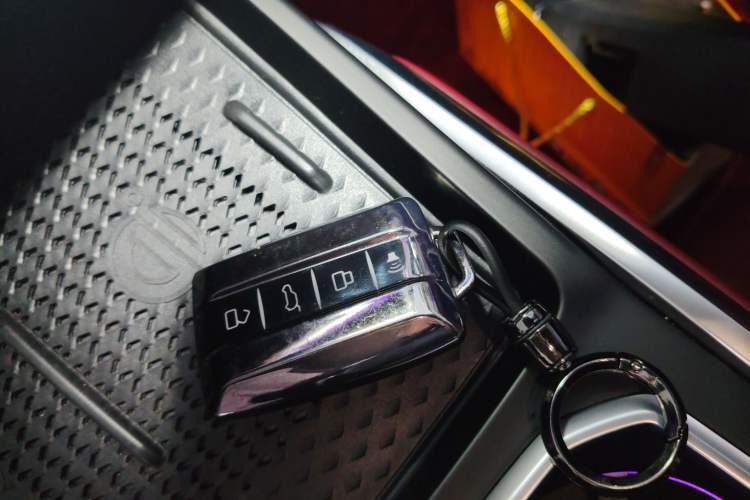 Used Tank 400 New Energy 2024 Hi4-T City Edition
