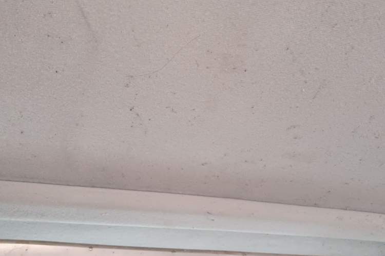 Used Wuling Zhiguang 2020 1.2L Van Utility Model China VI Emission Standard 2 Seats LSI