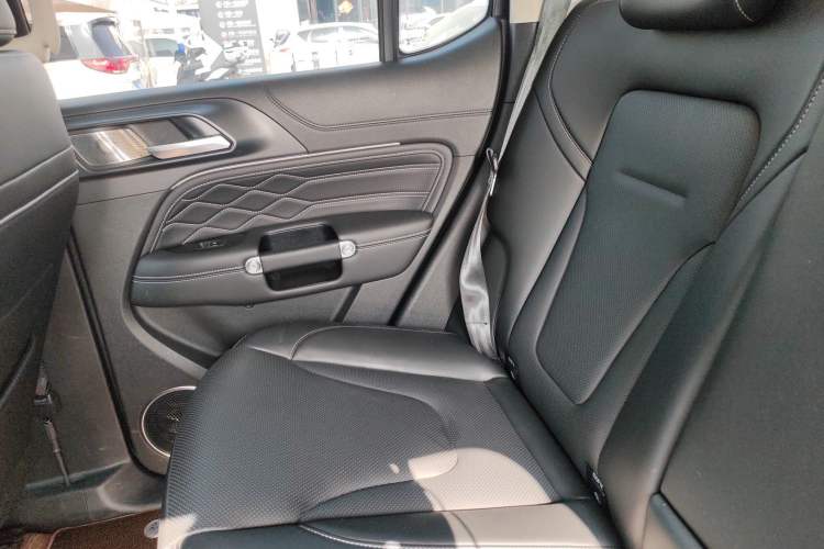 Used Tank 300 New Energy 2025 Hi4-T Left Rear Seat