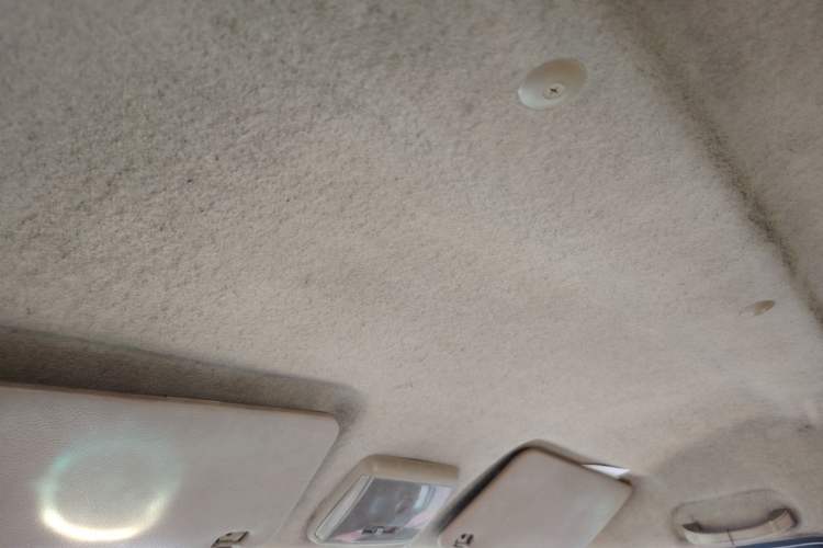 Used Ruichi EC35 2021 EC35 II Standard Edition 38.7 kWh Headliner