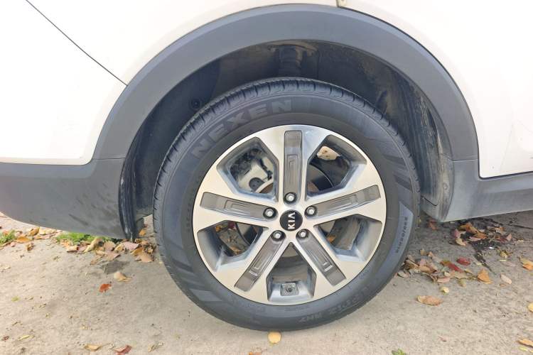 Used Kia Sportage R 2019 2.0L Automatic Smart Luxury Edition