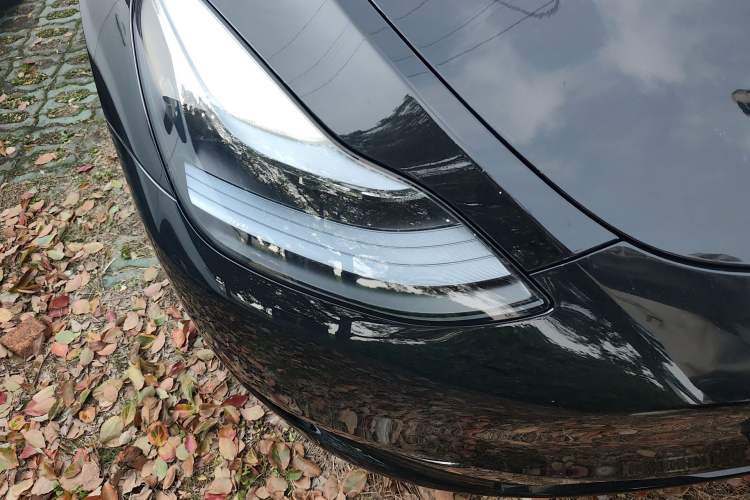 Used Tesla Model Y 2024 Rear-Wheel-Drive Version