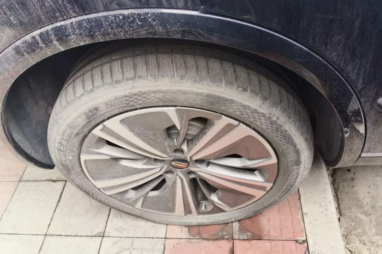 Used Hongqi E-HS9 2021 460 km Range Flagship Edition Six-Seater