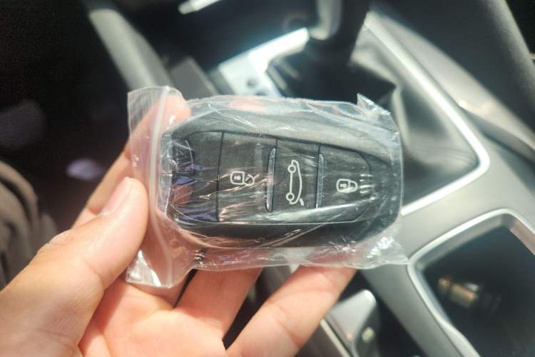 Used DS 5 2015 1.6T Luxury Edition THP160 Vehicle Key