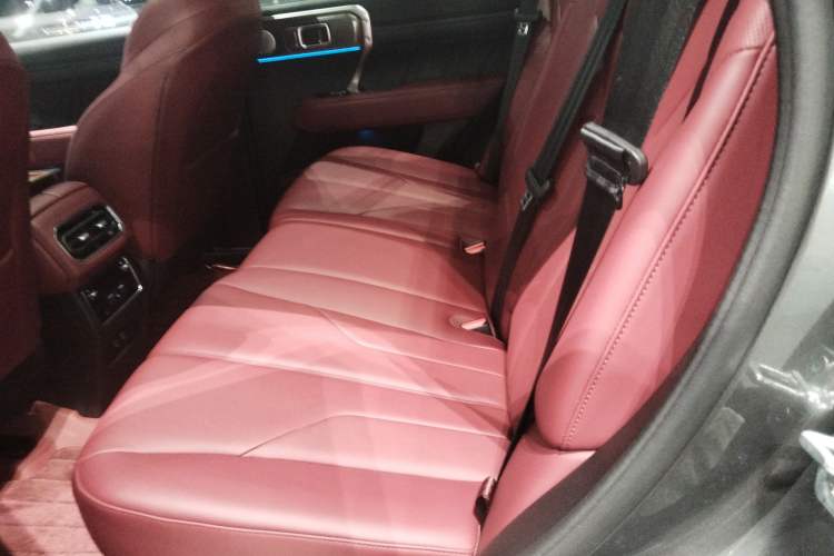 Used Tank 400 New Energy 2023 Hi4-T Super Edition Left Rear Seat