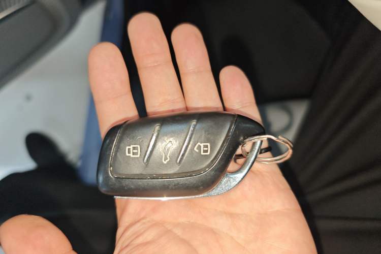 Used Rising ER6 2021 New Dynamic Edition 620km Smart Enjoyment Version