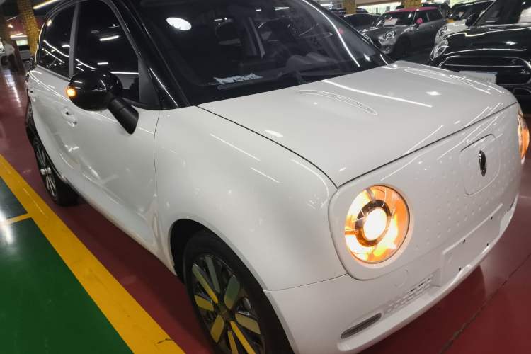 Used ORA Black Cat 2021 351 km Standard Version Front Right 45 Deg