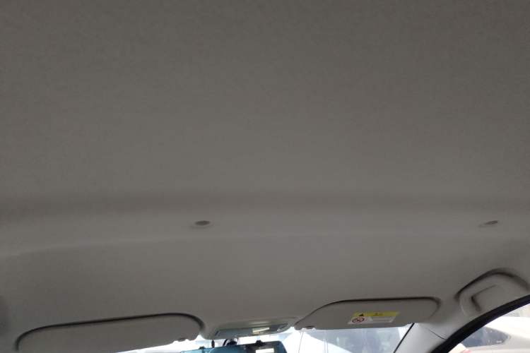 Used SOL E10X 2022 Flower Fairy Design Four-Leaf Clover