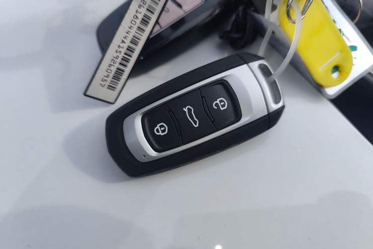 Used Geely Galaxy Panda 2024 Panda Mini 200km Endurance Bear