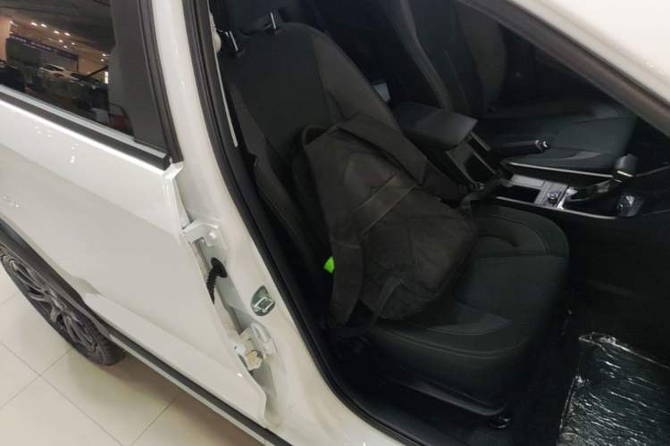 Used Chery Tiggo 3X 2024 1.5L CVT Excellence Edition Right Front Seat