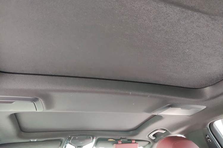 Used BMW 5 Series 2019 530Li Luxury Edition M Sport Package Headliner