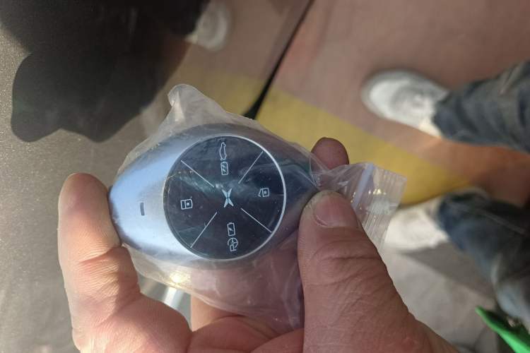 Used XPeng P7 2020 670E
