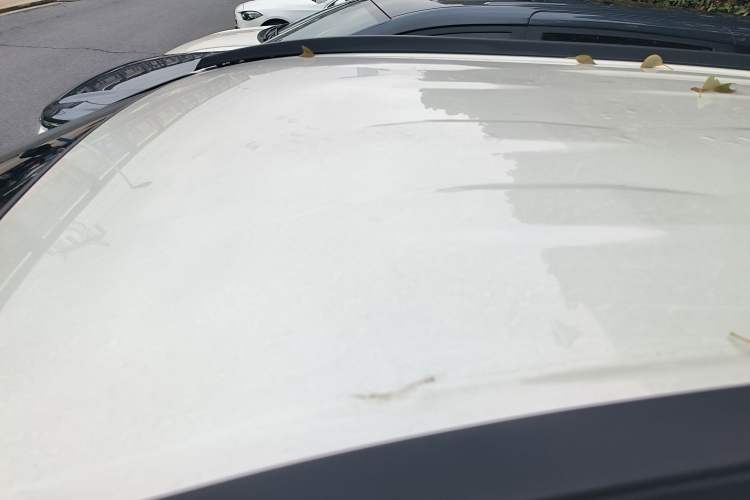 Used Toyota RAV4 2020 2.0L CVT Two-Wheel Drive Urban Edition
