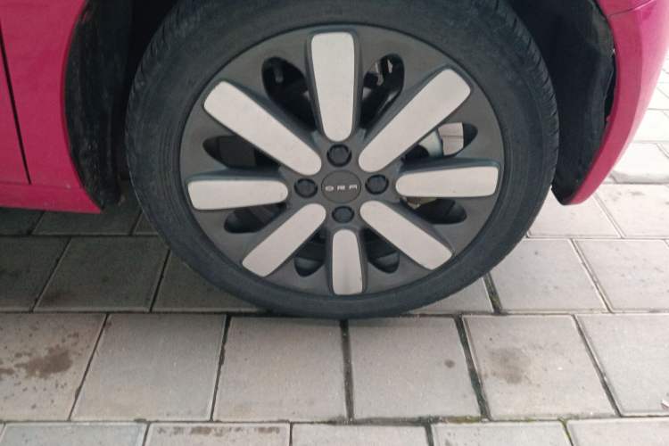 Used ORA Black Cat 2019 351 km Goddess Edition
