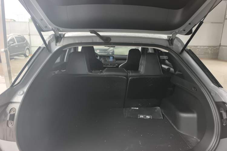 Used Venucia V 2021 260T Idol Edition