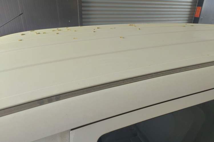 Used Wuling Hongguang New Energy 2024 All-Electric Model 300KM Standard Version Roof