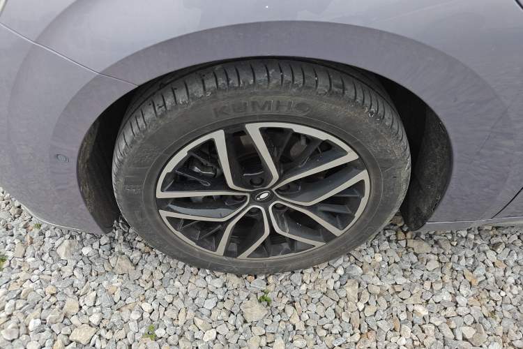 Used ORA Lightning Cat 2022 555 km Luxury Edition
