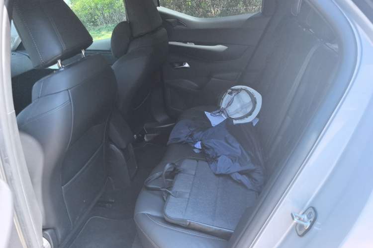 Used DS 3 New Energy 2021 E-Tense Left Bank Edition
