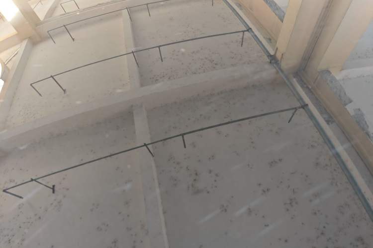 Used Mercedes-Benz CLA 2018 CLA 200 Style Edition Roof