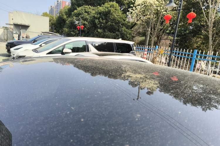 Used Tesla Model Y 2023 Long-Range All-Wheel-Drive Version