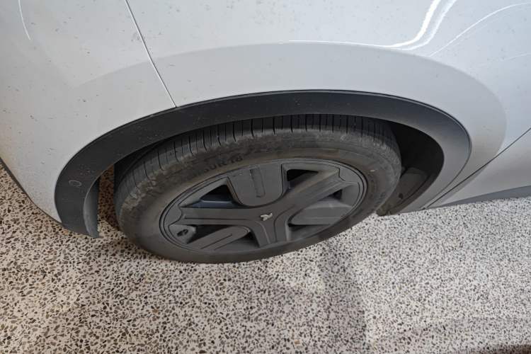 Used firefly firefly 2025 Illuminated Edition
