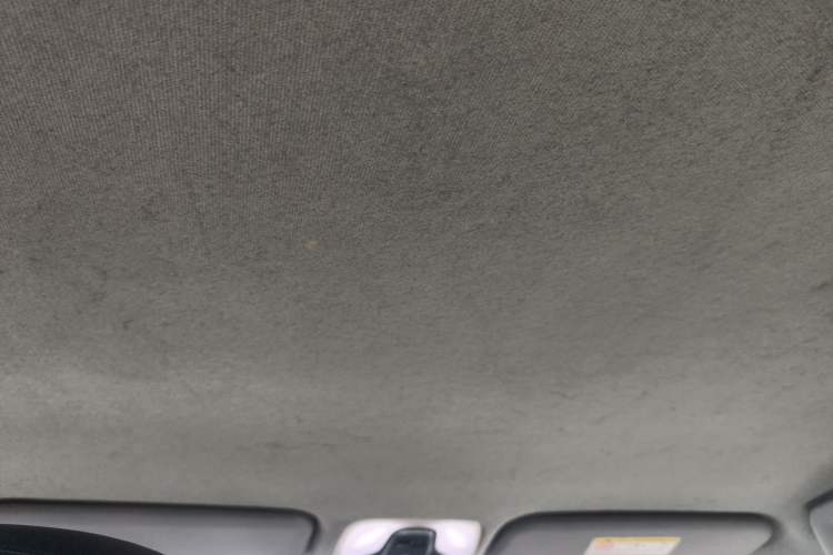 Used Chery New Energy Tiggo 3xe 2018 480 Comfort Edition Headliner