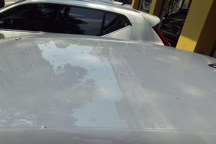 Used Volkswagen Polo 2018 1.5L Automatic Advanced Driving Model Roof