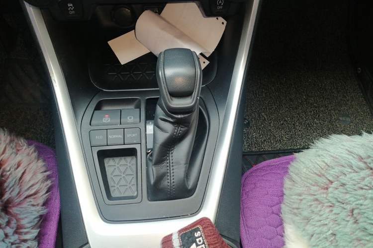 Used Toyota Wildlander 2022 2.0L CVT Two-Wheel Drive Leading Edition