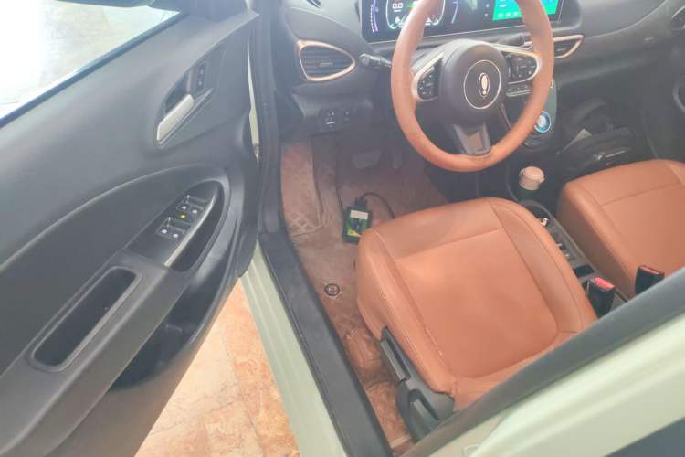 Used ORA White Cat 2022 Upgraded Model 305km Range Luxury Version Lithium-Ion Battery Driver Seat