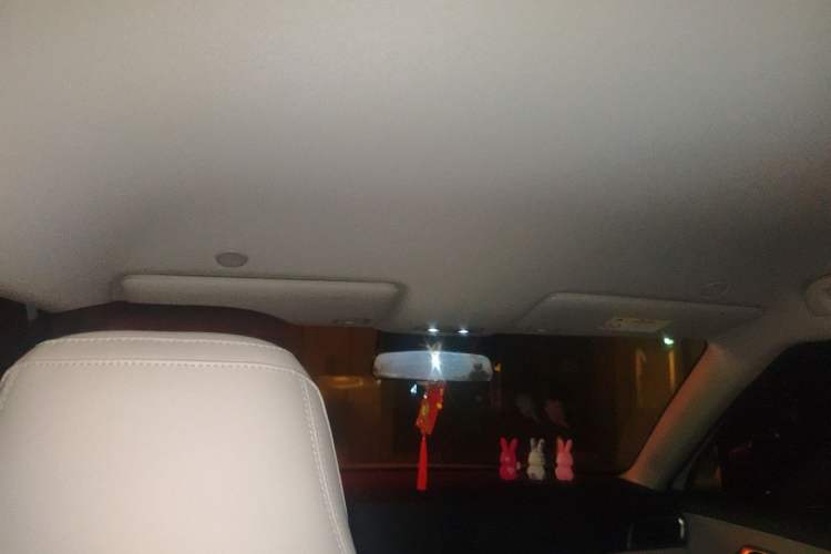 Used BYD Yuan UP 2024 401 km Active Version Headliner