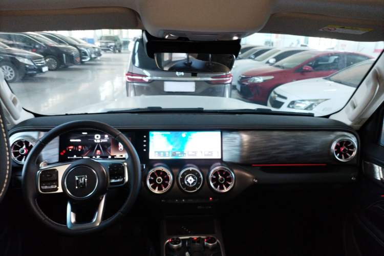 Used Tank 300 2024 2.0T Conqueror