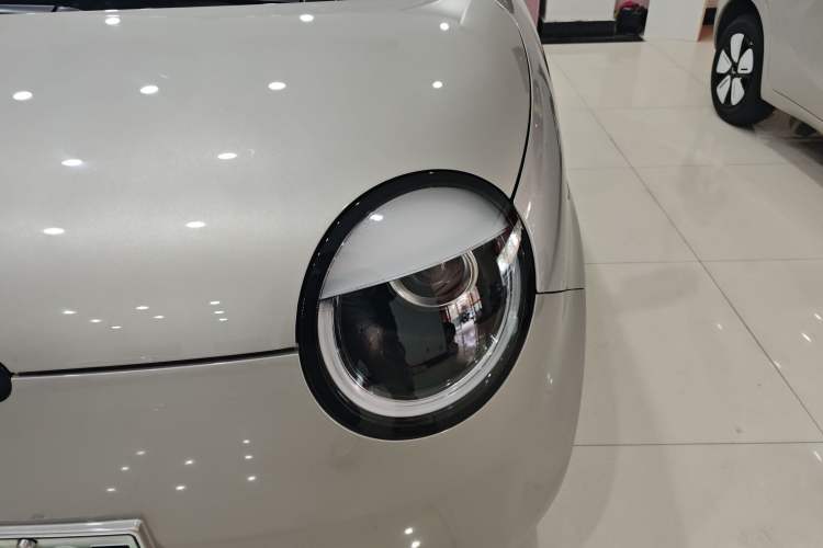 Used Qiyuan Lumin 2023 205km Xiangqin Version