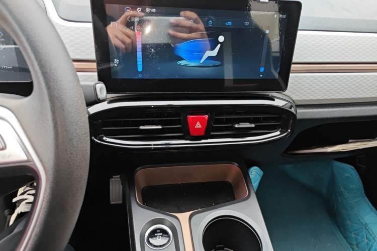 Used SOL E10X 2022 Flower Fairy Design Four-Leaf Clover