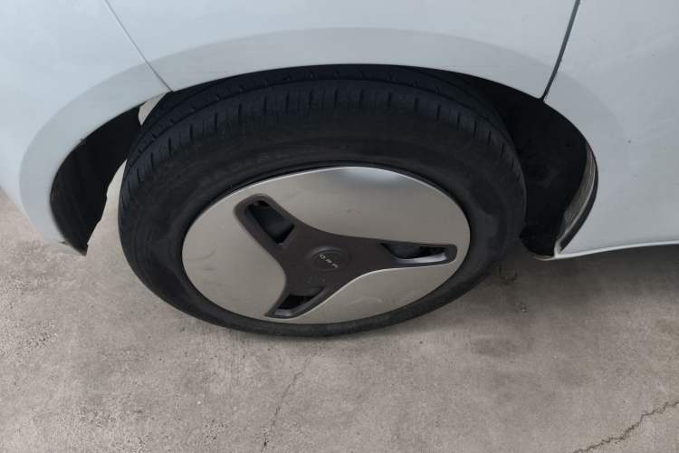 Used ORA White Cat 2020 401 km Long-Range Version