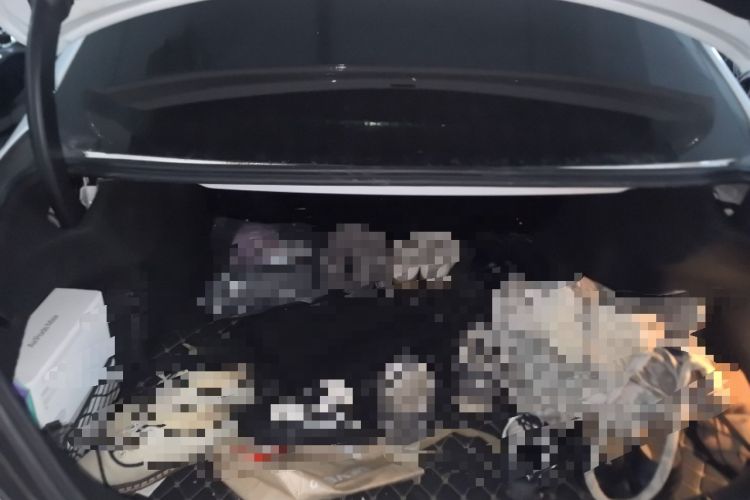 Used Mercedes-Benz C-Class 2021 C 260 Star Edition Trunk