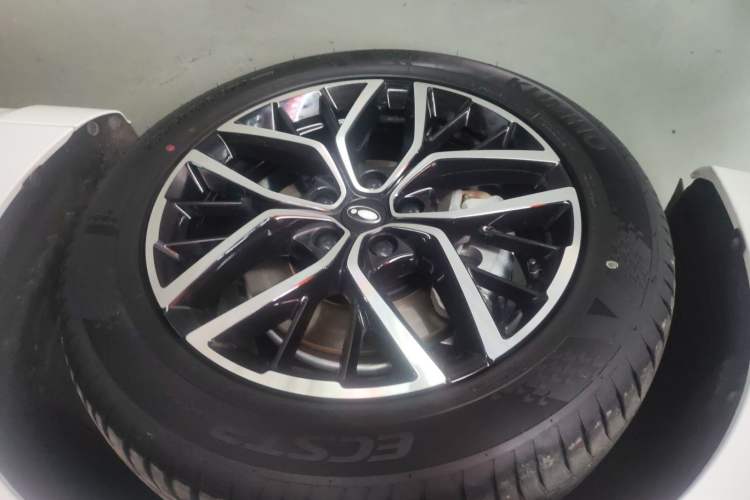 Used ORA Lightning Cat 2022 555 km Luxury Edition