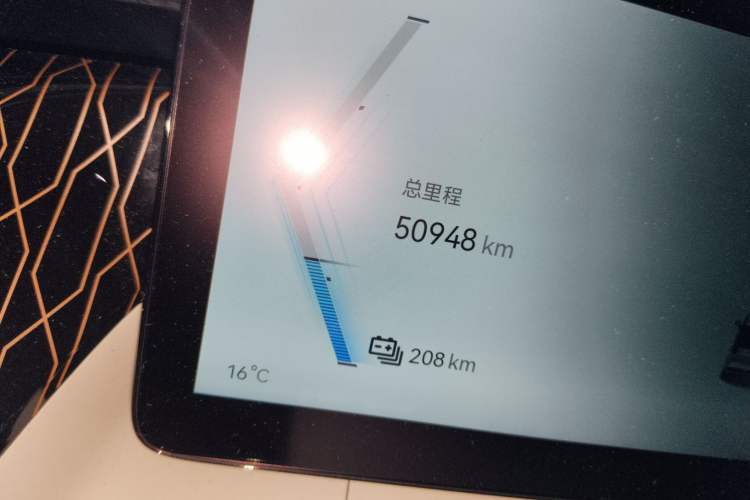 Used Zeekr 009 2022 Revised WE Version Odometer Close Up