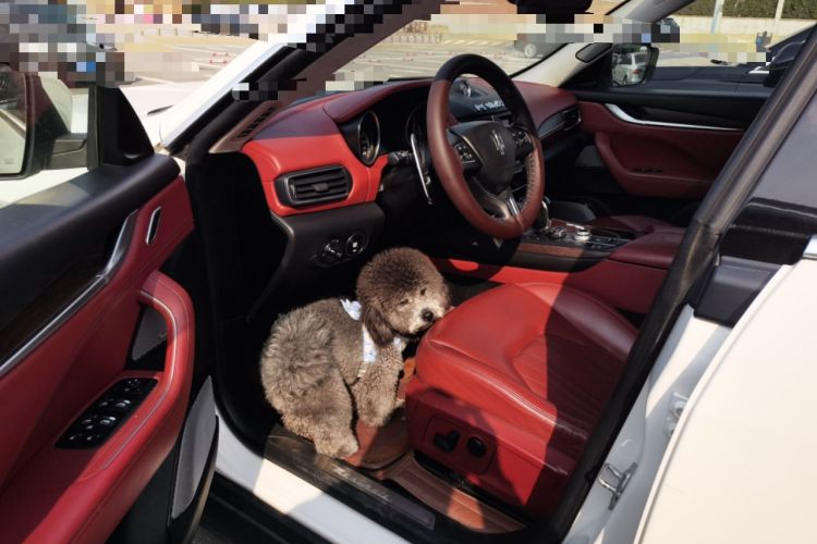 Used Maserati Levante 2016 3.0T Standard Edition Driver Seat