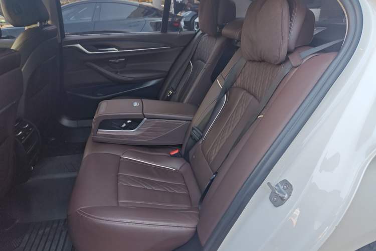 Used BMW 5 Series New Energy 2020 530Le Luxury Package
