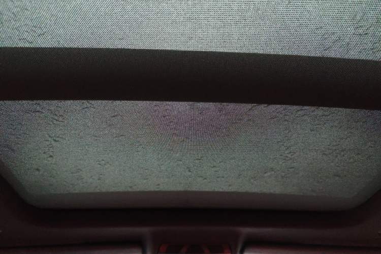 Used BMW X2 2020 sDrive25i Leading Model M Sport Package Headliner