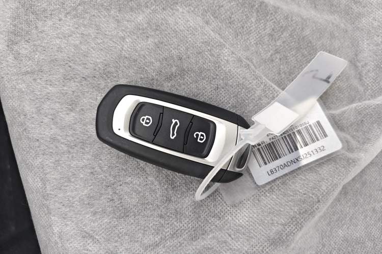 Used Geely Galaxy Panda 2024 Panda Mini 200km Dragon Edition