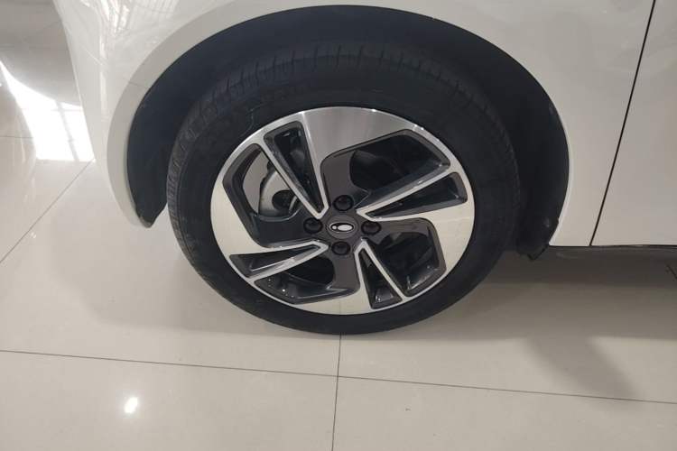 Used ORA Black Cat 2019 351 km Lingzhi Edition
