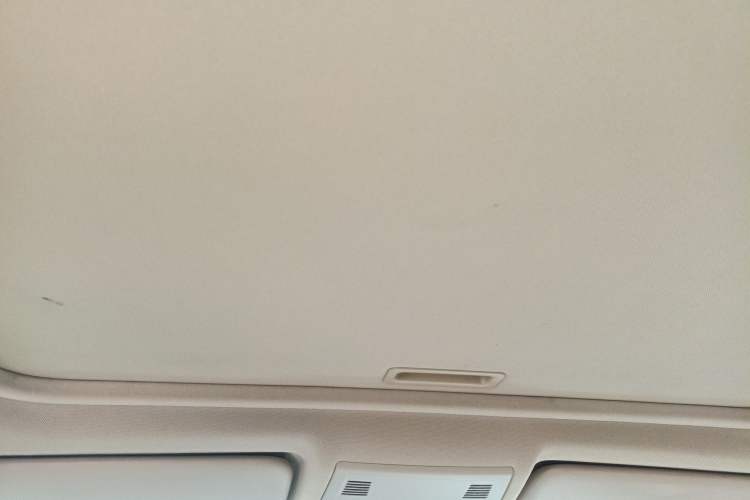 Used BMW 3 Series 2010 320i Luxury Model Headliner