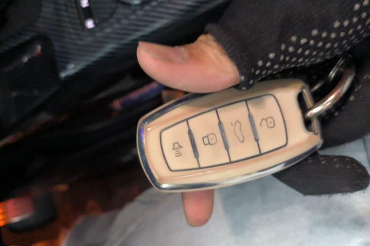 Used Haval DARGO 2021 1.5T DCT Two-Wheel Drive "Mǎquǎn" Edition Vehicle Key