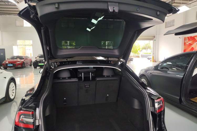 Used Tesla Model Y 2021 Standard Range Rear-Wheel Drive Version
