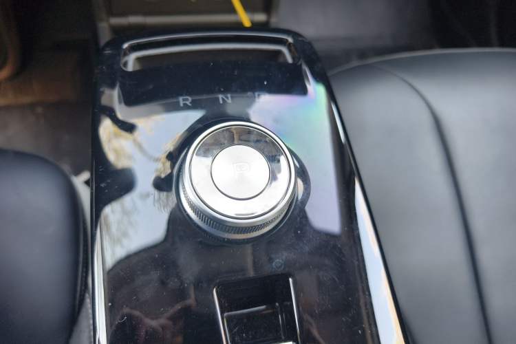 Used Geometry E Firefly 2023 401KM Linglong Tiger 5-Seater Gear Lever