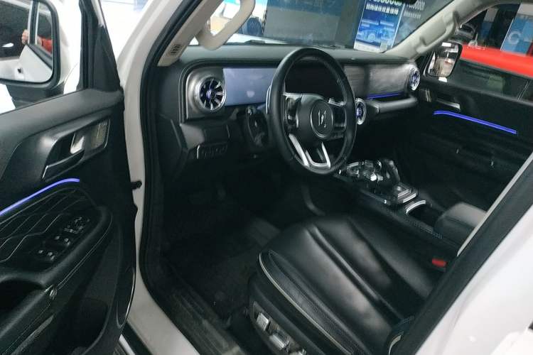 Used Tank 300 2024 2.0T Crosser
