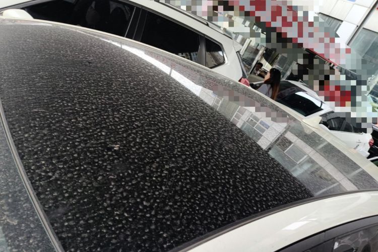 Used BYD Dolphin 2023 420 km Fashion Edition
