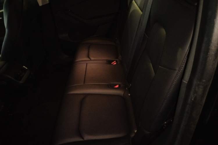 Used Tesla Model Y 2021 Performance High-Performance All-Wheel-Drive Version